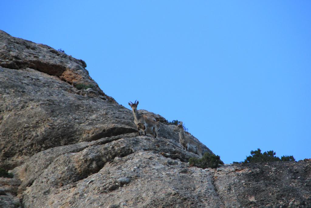 Ca La Leonor, Ecoturisme Terra Alta Villa Bot Ruang foto