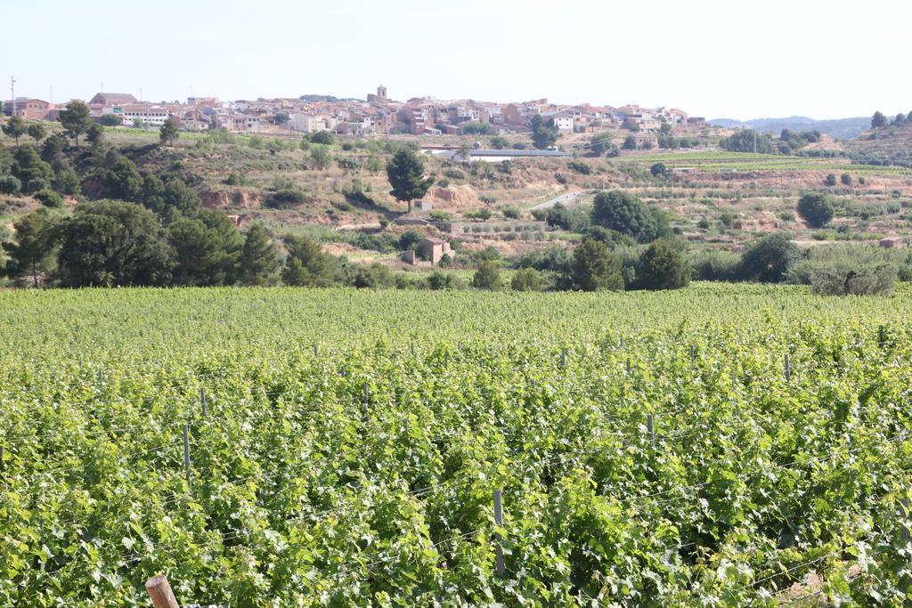 Ca La Leonor, Ecoturisme Terra Alta Villa Bot Ruang foto